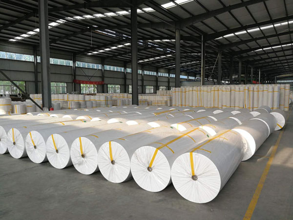 彬村山华侨农场狭缝式涤纶纺粘无纺布